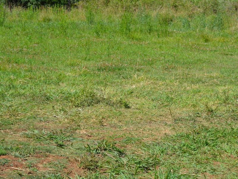 51B William Street, Kilcoy QLD 4515