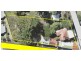 80 Archer Street, Woodford QLD 4514