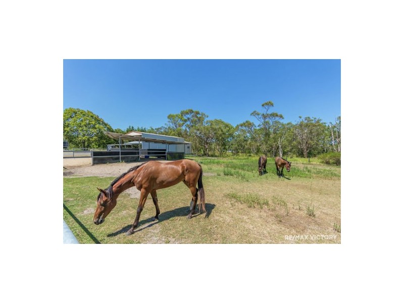 1079 Pumicestone Rd, Toorbul QLD 4510