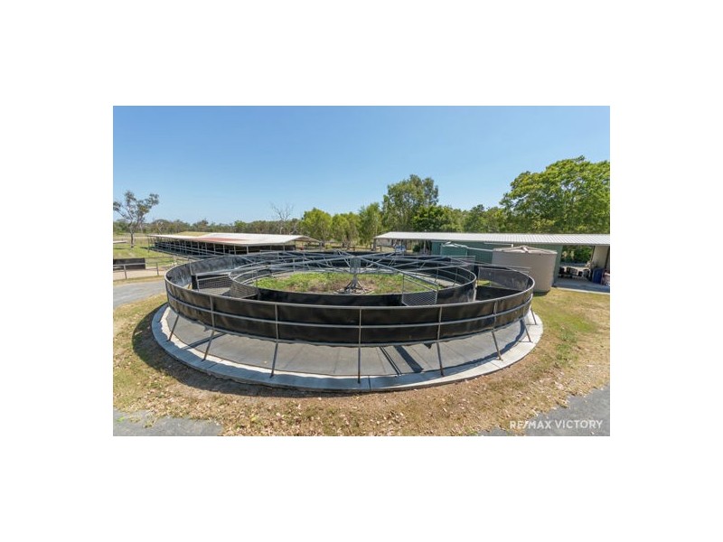 1079 Pumicestone Rd, Toorbul QLD 4510