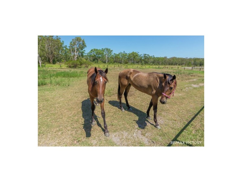 1079 Pumicestone Rd, Toorbul QLD 4510