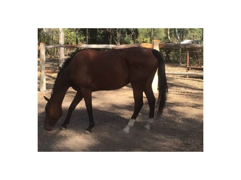 Lot 1 Brisbane Valley Rail Trail, Yarraman QLD 4614