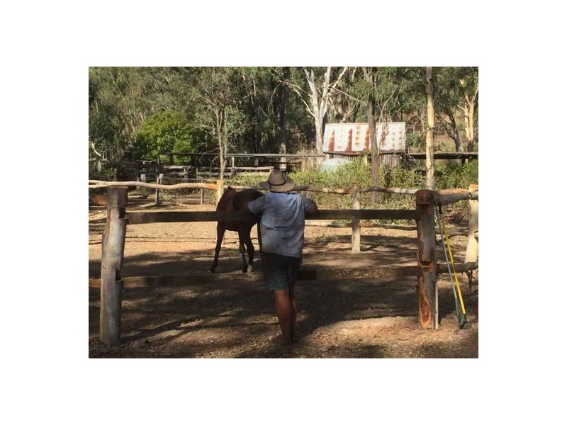 Lot 1 Brisbane Valley Rail Trail, Yarraman QLD 4614