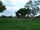 3 Silverbirch Court, Landsborough QLD 4550