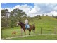 440 Delaneys Creek Road, Delaneys Creek QLD 4514