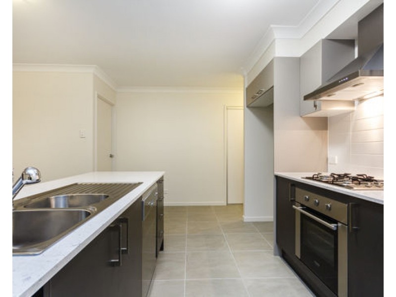 16 Leopardtree Drive, Upper Caboolture QLD 4510