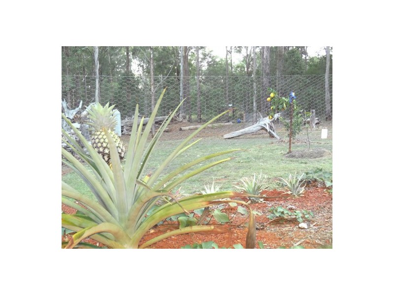 38 Gilliland Crescent, Blackbutt North QLD 4306