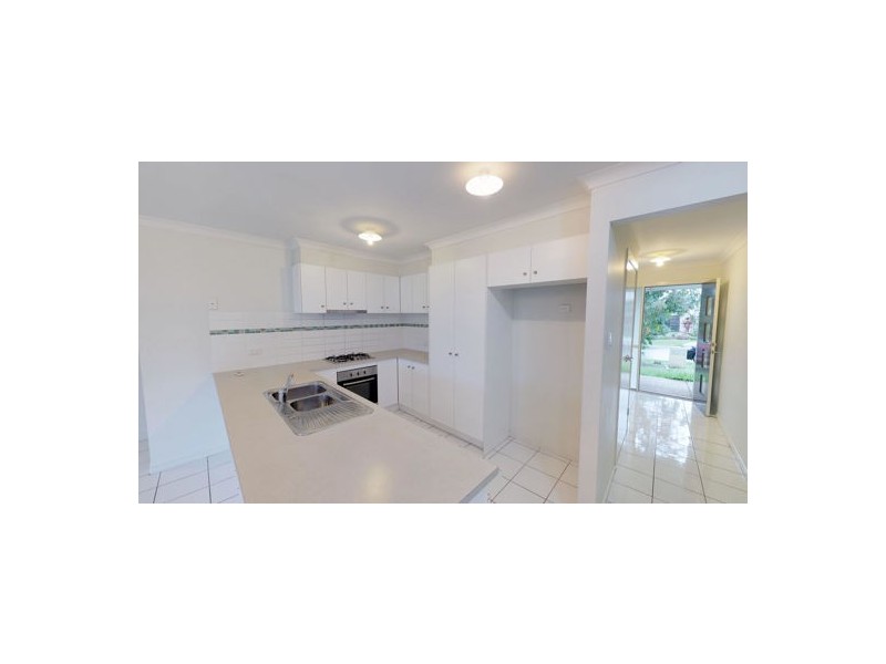 29 Daintree Street, Bellmere QLD 4510