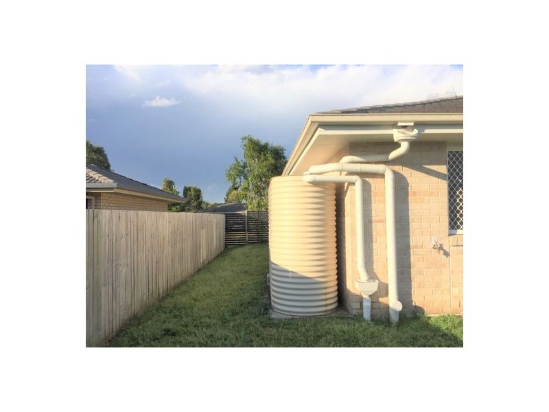 29 Daintree Street, Bellmere QLD 4510