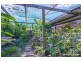 699 Caboolture River Road, Upper Caboolture QLD 4510