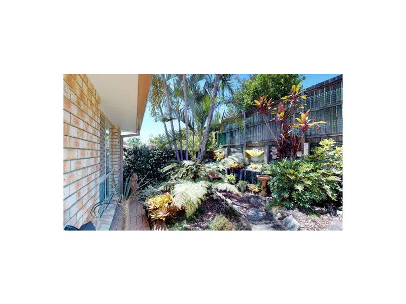 26 Kooringal Street, Tingalpa QLD 4173