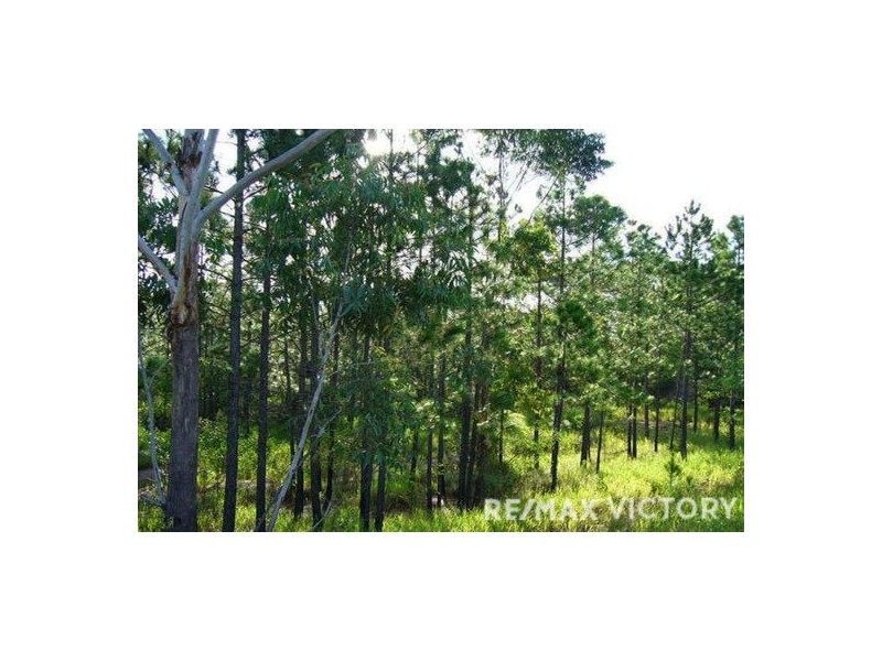 1120-1128 D’Aguilar Highway, Wamuran QLD 4512