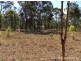 Lot 11 Pitts Road, South Nanango QLD 4615