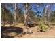 Lot 11 Pitts Road, South Nanango QLD 4615