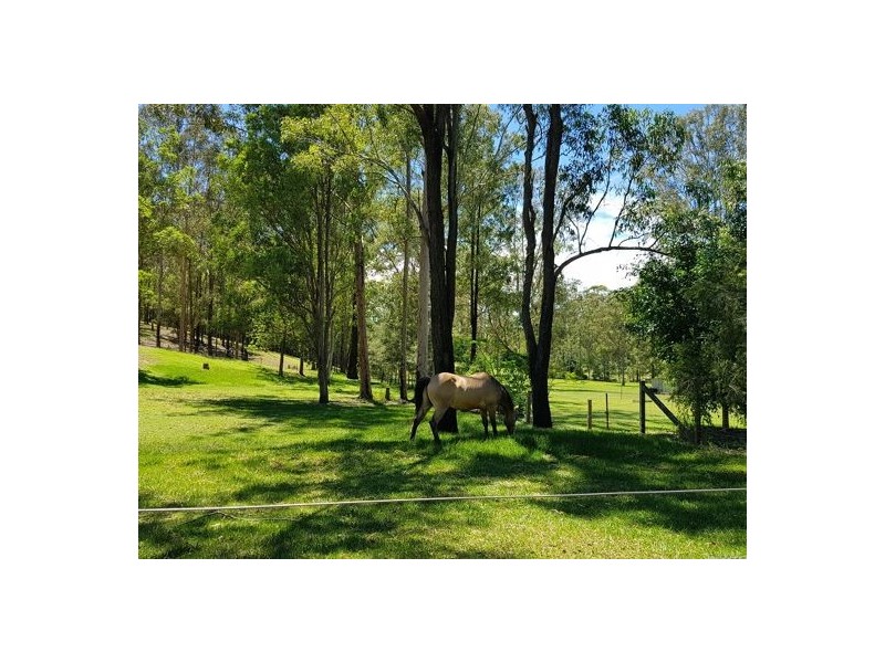 32 Wingara Drive, Morayfield QLD 4506