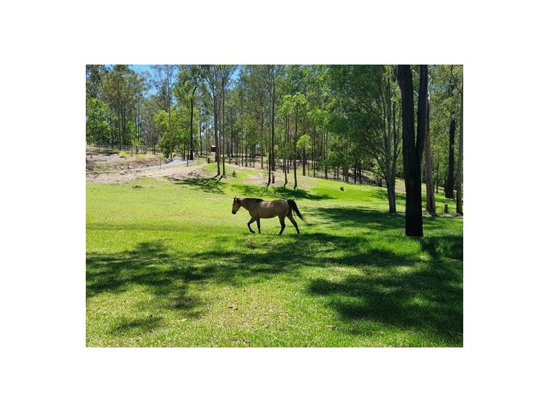 32 Wingara Drive, Morayfield QLD 4506