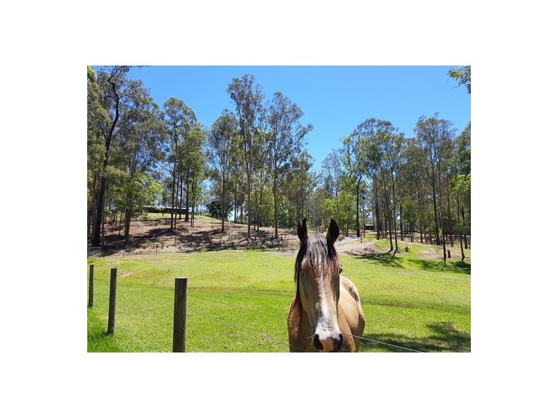 32 Wingara Drive, Morayfield QLD 4506