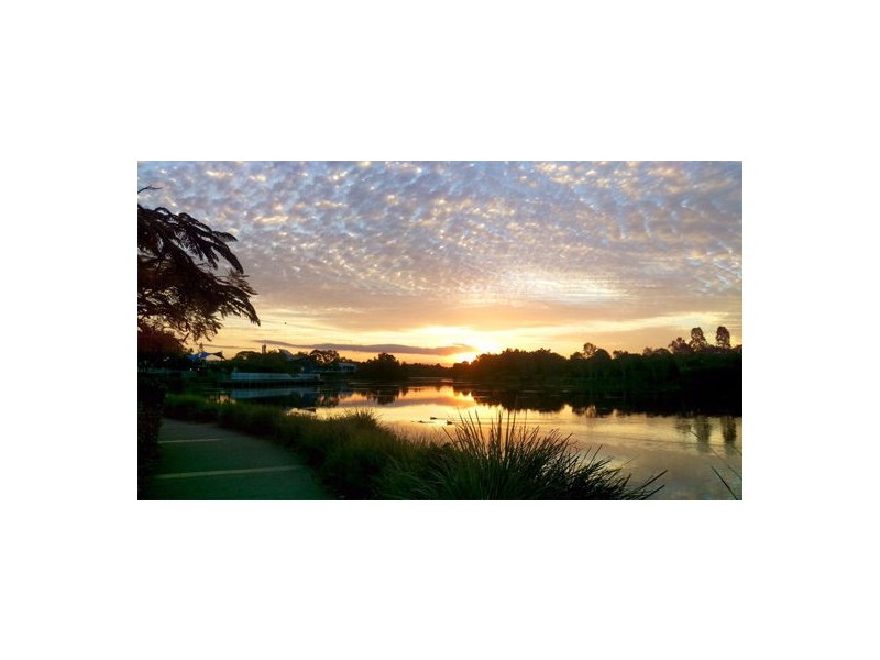 6 Rufous Court, North Lakes QLD 4509