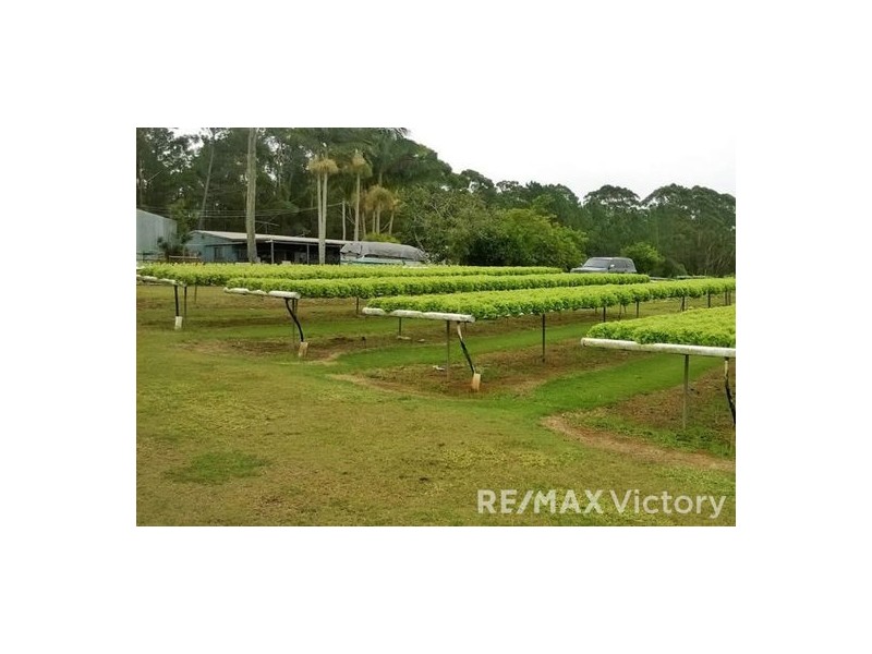 523-535 Raaen Road, Bracalba QLD 4512