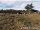 380 Beachmere Road, Beachmere QLD 4510