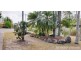 6 Dradani Ct, Elimbah QLD 4516