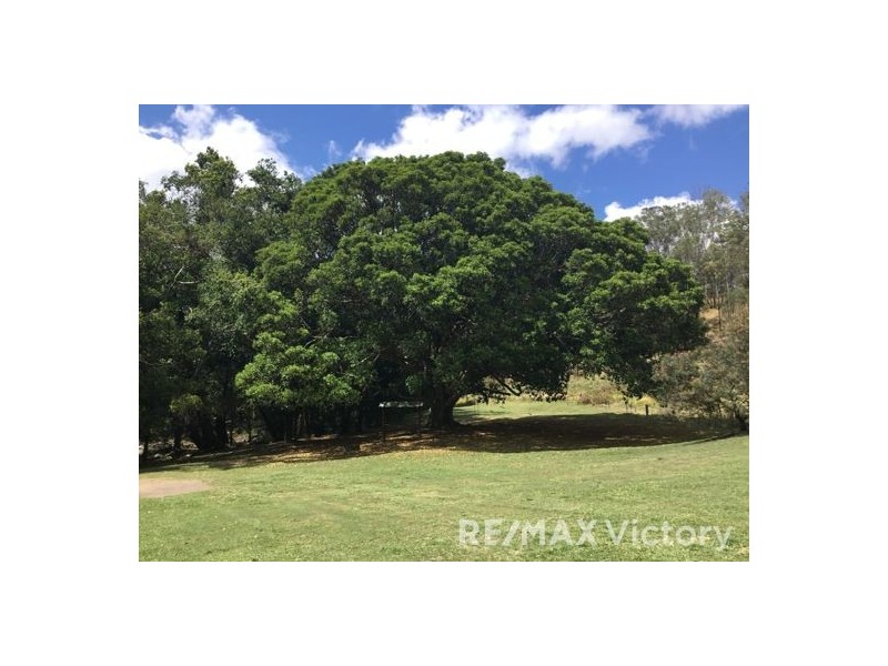 229 Cedarvale Rd, Sandy Creek QLD 4515