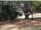 229 Cedarvale Rd, Sandy Creek QLD 4515