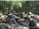 229 Cedarvale Rd, Sandy Creek QLD 4515