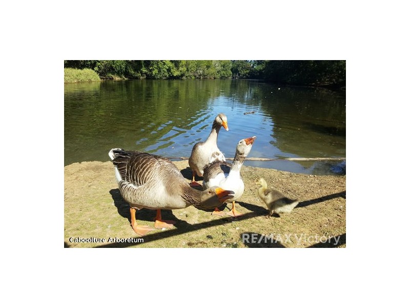 25 Matthew Flinders Drive, Caboolture South QLD 4510