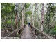 46 Macginley Road, Upper Caboolture QLD 4510