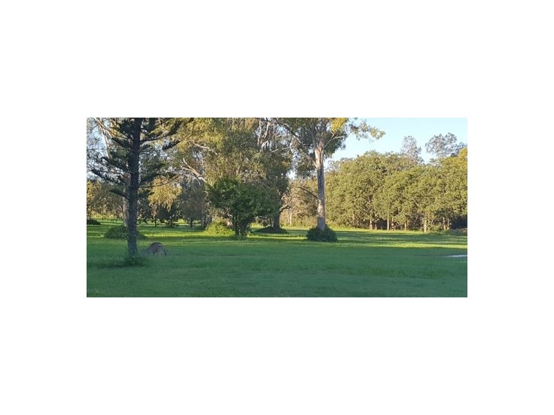 36 Richard Road, Mango Hill QLD 4509