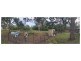 1310 Caboolture River Road, Rocksberg QLD 4510
