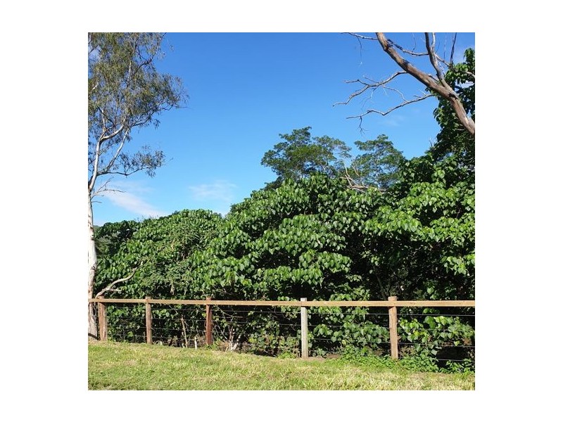 1310 Caboolture River Road, Rocksberg QLD 4510