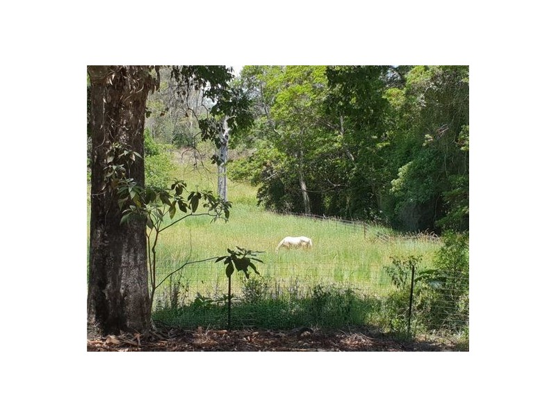 1310 Caboolture River Road, Rocksberg QLD 4510