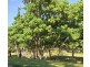 1310 Caboolture River Road, Rocksberg QLD 4510
