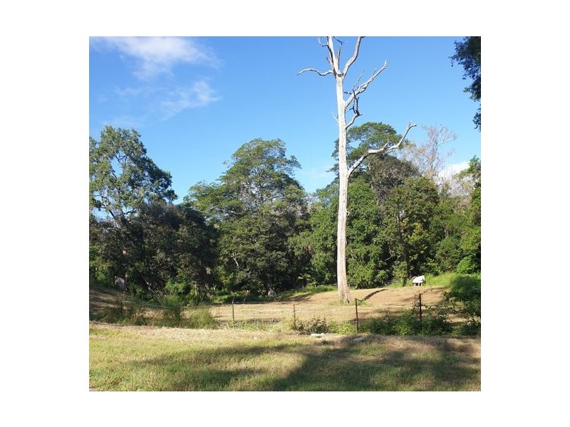 1310 Caboolture River Road, Rocksberg QLD 4510