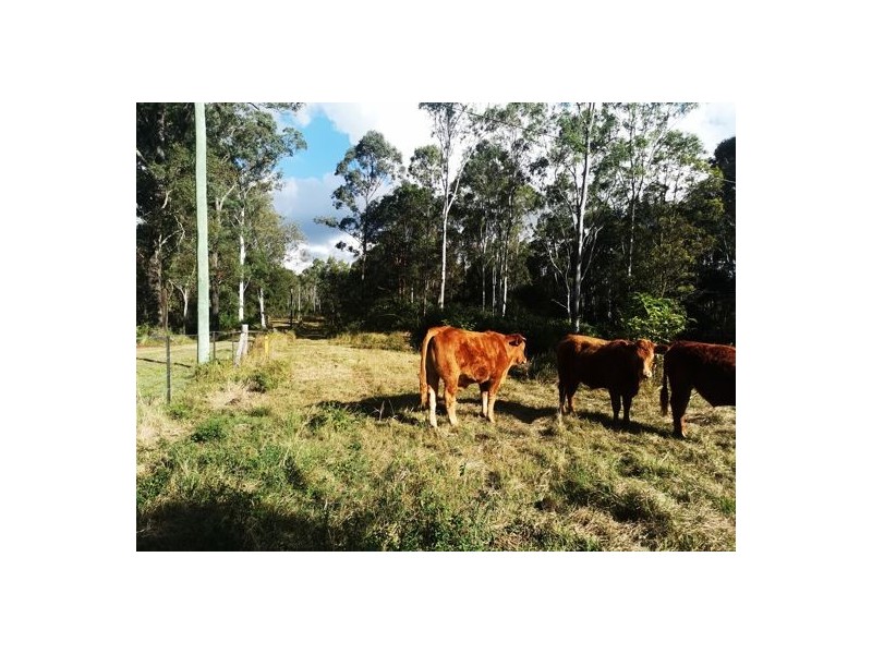 86-144 Dwane Road, Delaneys Creek QLD 4514