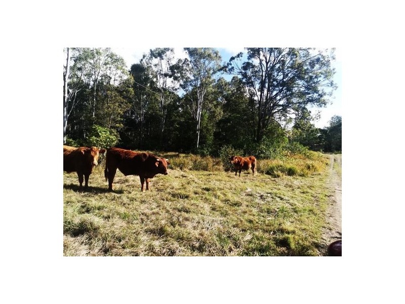 86-144 Dwane Road, Delaneys Creek QLD 4514