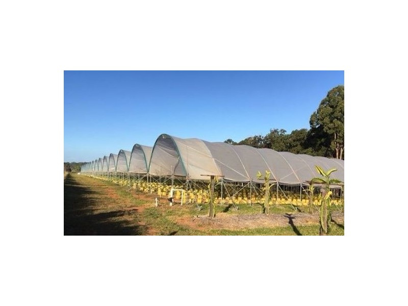 170-212 Schrodter Road, Wamuran Basin QLD 4512