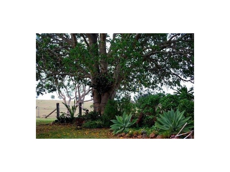 934 Esk Kilcoy Road, Caboonbah QLD 4312