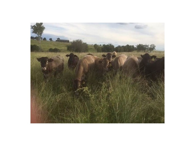 934 Esk Kilcoy Road, Caboonbah QLD 4312