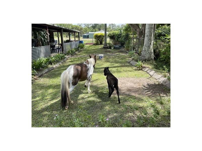 30-40 Spoonbill Drive, Elimbah QLD 4516