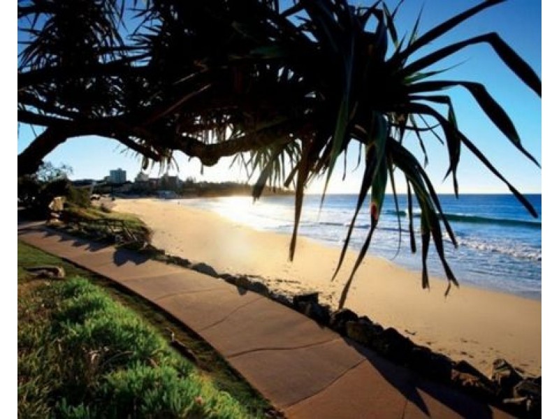 11/33 Burgess St, Kings Beach QLD 4551