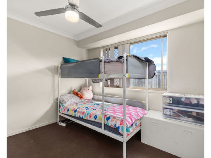 55 Daintree Street, Bellmere QLD 4510