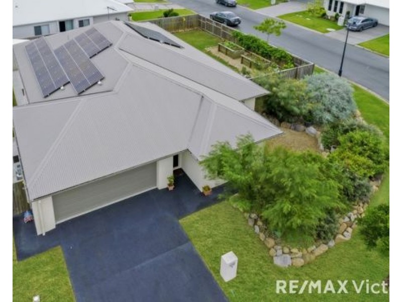 19 Coneflower Street, Caboolture QLD 4510