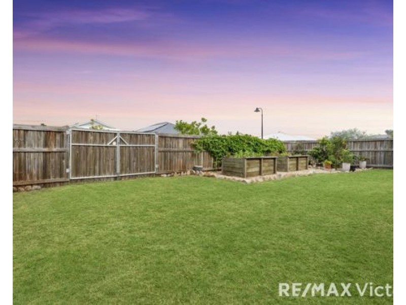 19 Coneflower Street, Caboolture QLD 4510