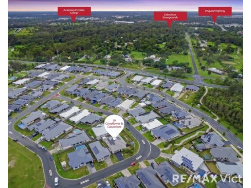 19 Coneflower Street, Caboolture QLD 4510
