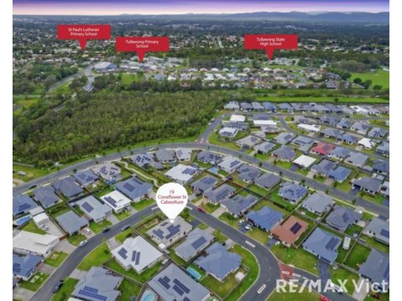 19 Coneflower Street, Caboolture QLD 4510