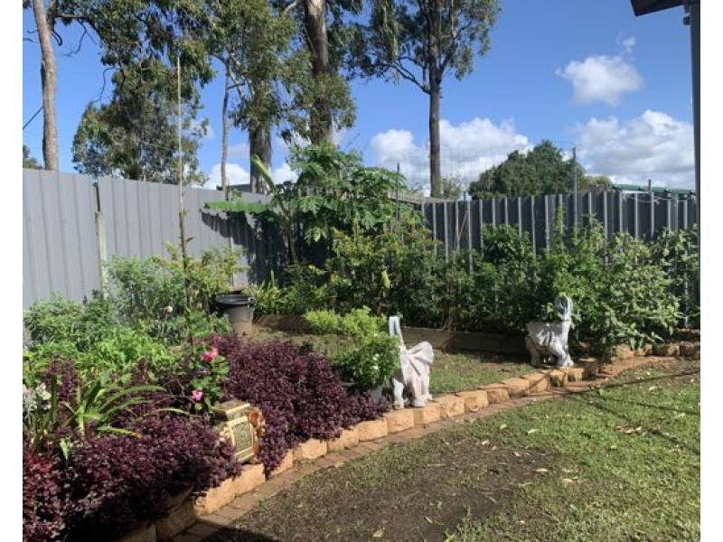 19 Daintree Street, Bellmere QLD 4510