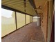 9 Corriedale Court, Morayfield QLD 4506